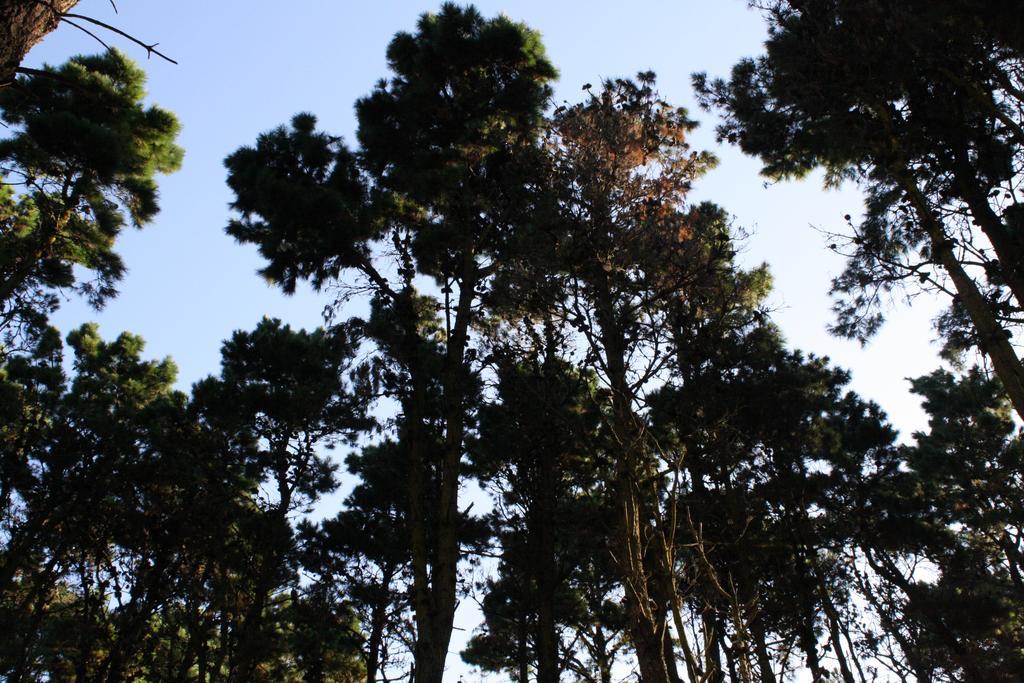 Cabanas Hurra Pampa Mar de Las Pampas Pokój zdjęcie